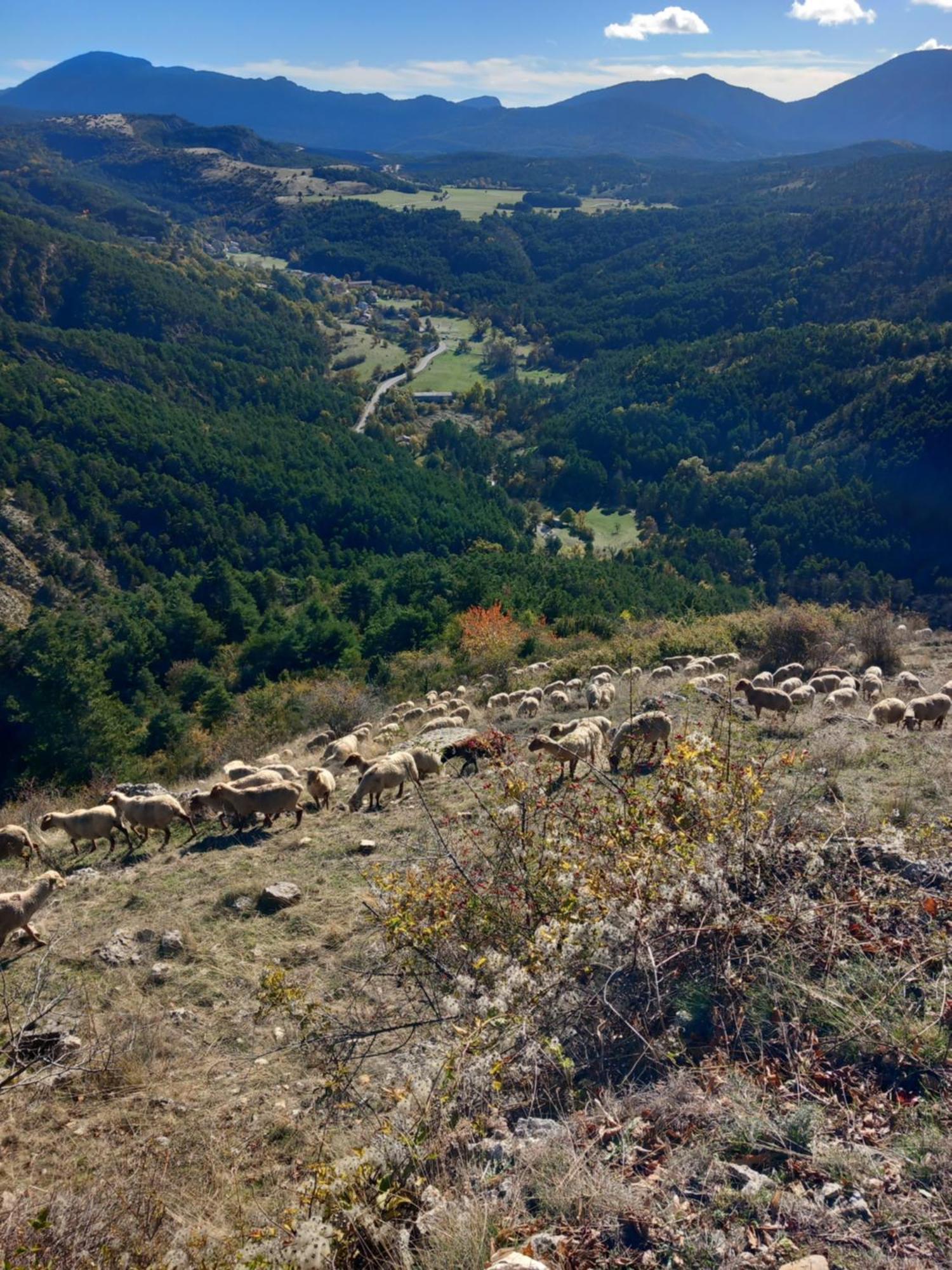 Gite La Mountagna Peyroules Eksteriør billede